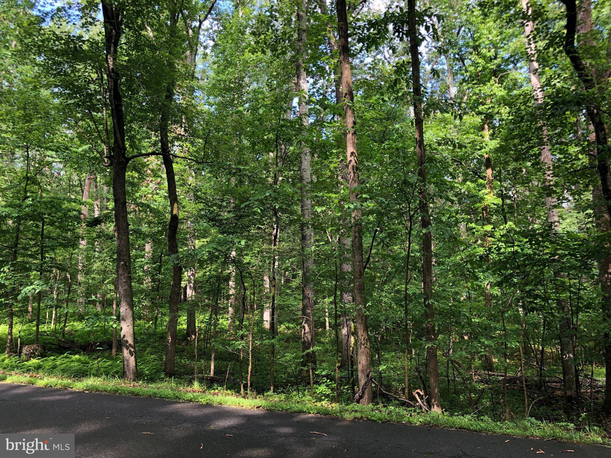 Amissville, VA 20106,BATTLE MOUNTAIN RD