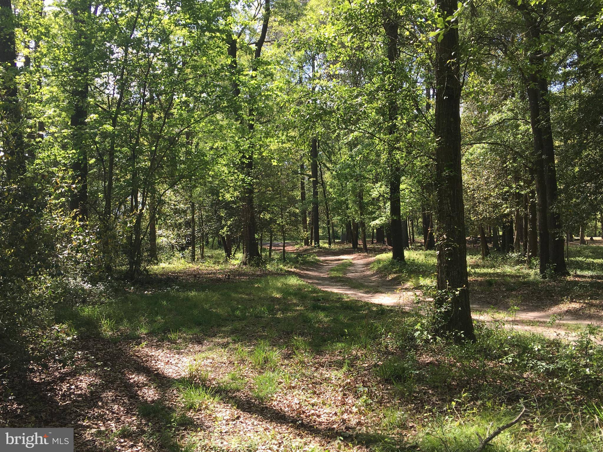 Pocomoke City, MD 21851,LOT 3A RIVERVIEW PARK DR