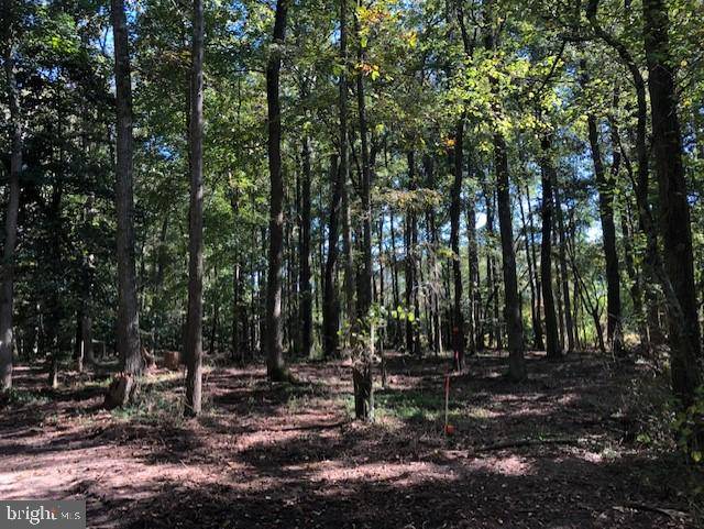 Pocomoke City, MD 21851,LOT 3A RIVERVIEW PARK DR