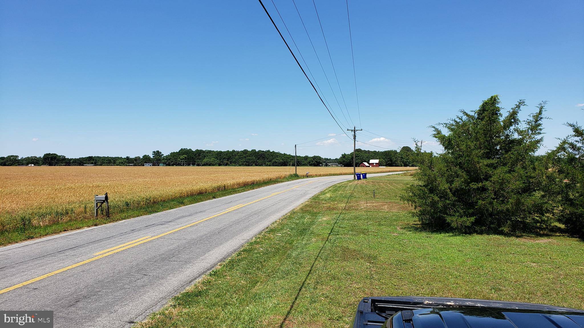 Houston, DE 19954,LOT 1 DEEP GRASS LN