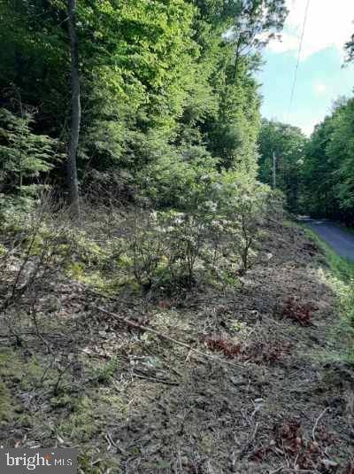 Elliottsburg, PA 17024,LOT 22/23A RUPP RD