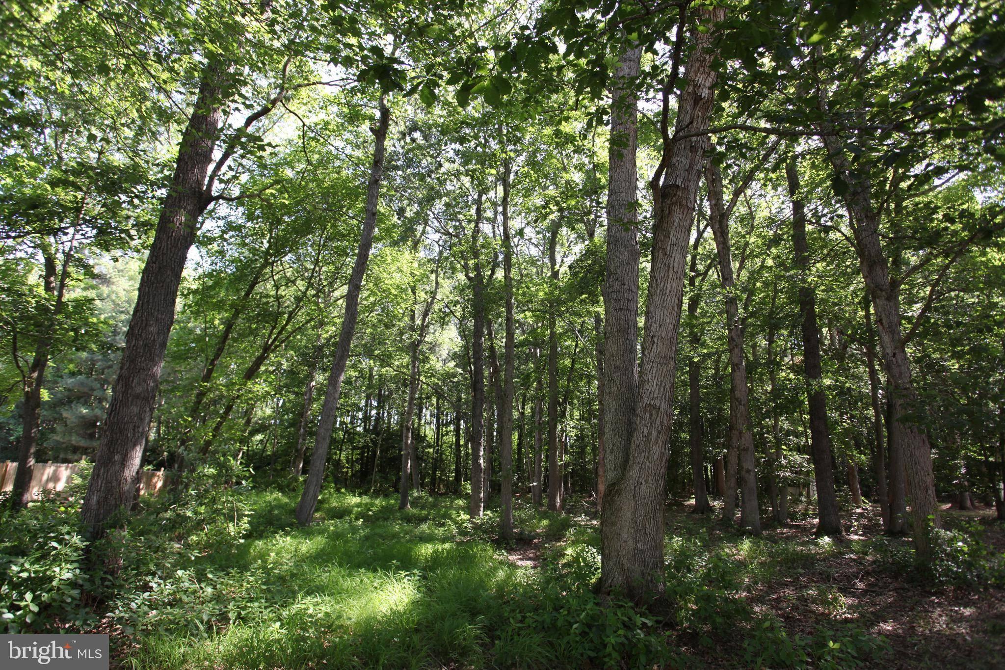 Pocomoke City, MD 21851,LOT 34 WHITE OAK LN