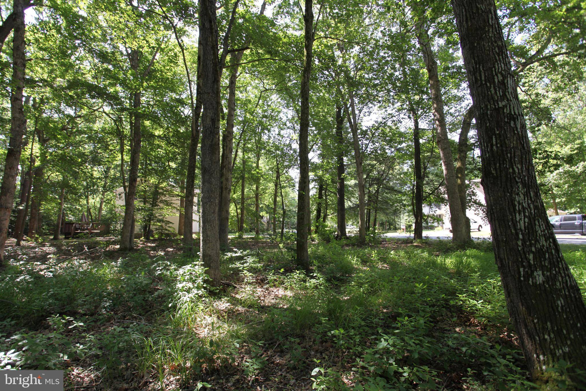 Pocomoke City, MD 21851,LOT 34 WHITE OAK LN