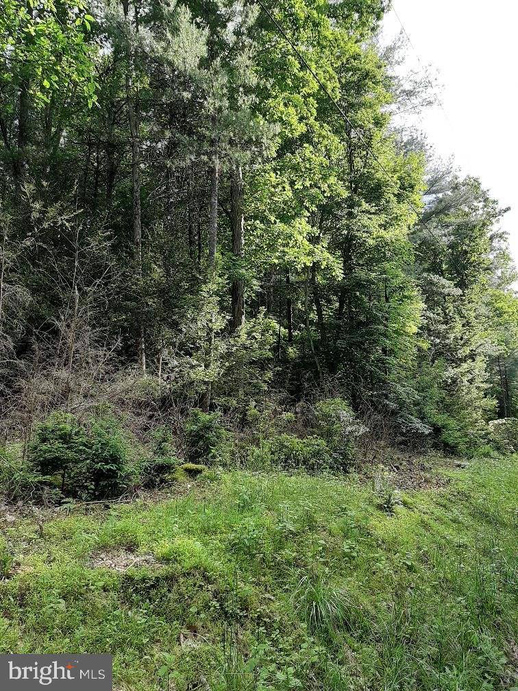 Elliottsburg, PA 17024,LOT # 28 RUPP RD