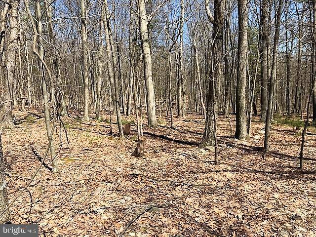 Mathias, WV 26812,LOT 7 MIDDLE COVE ROAD