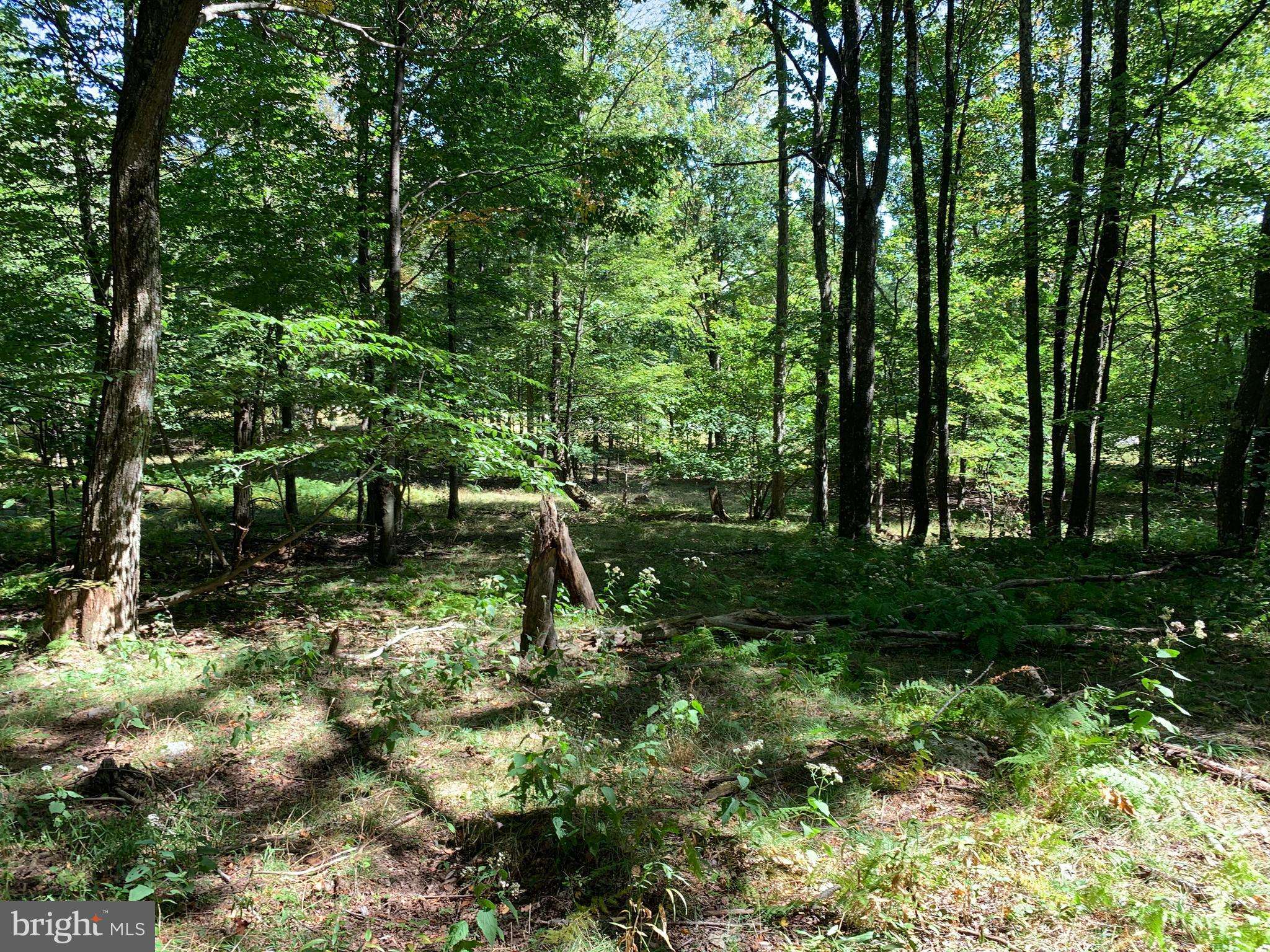 Mount Storm, WV 26739,LOT 36 DOLLY SODS RETREAT