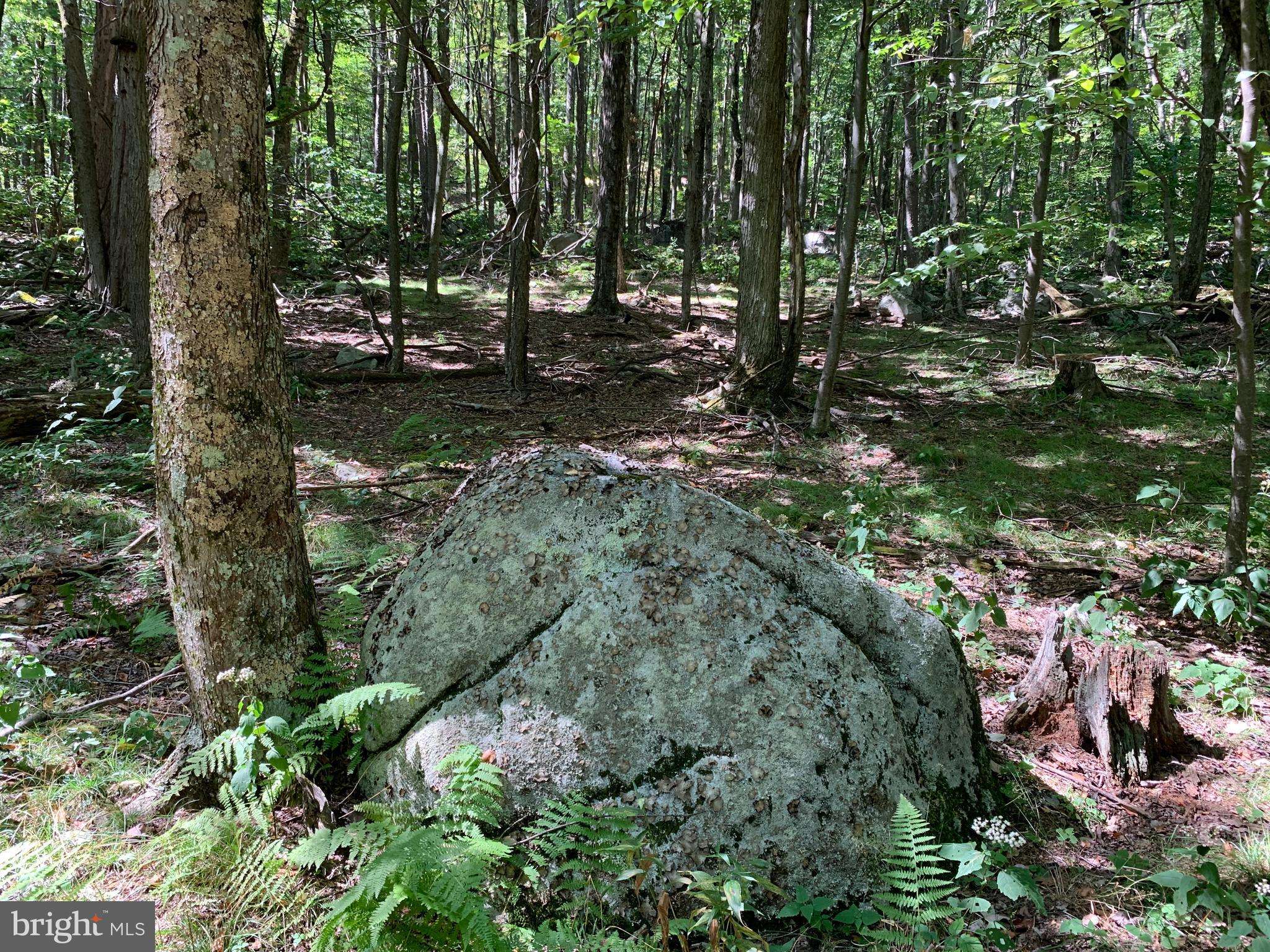 Mount Storm, WV 26739,LOT 36 DOLLY SODS RETREAT