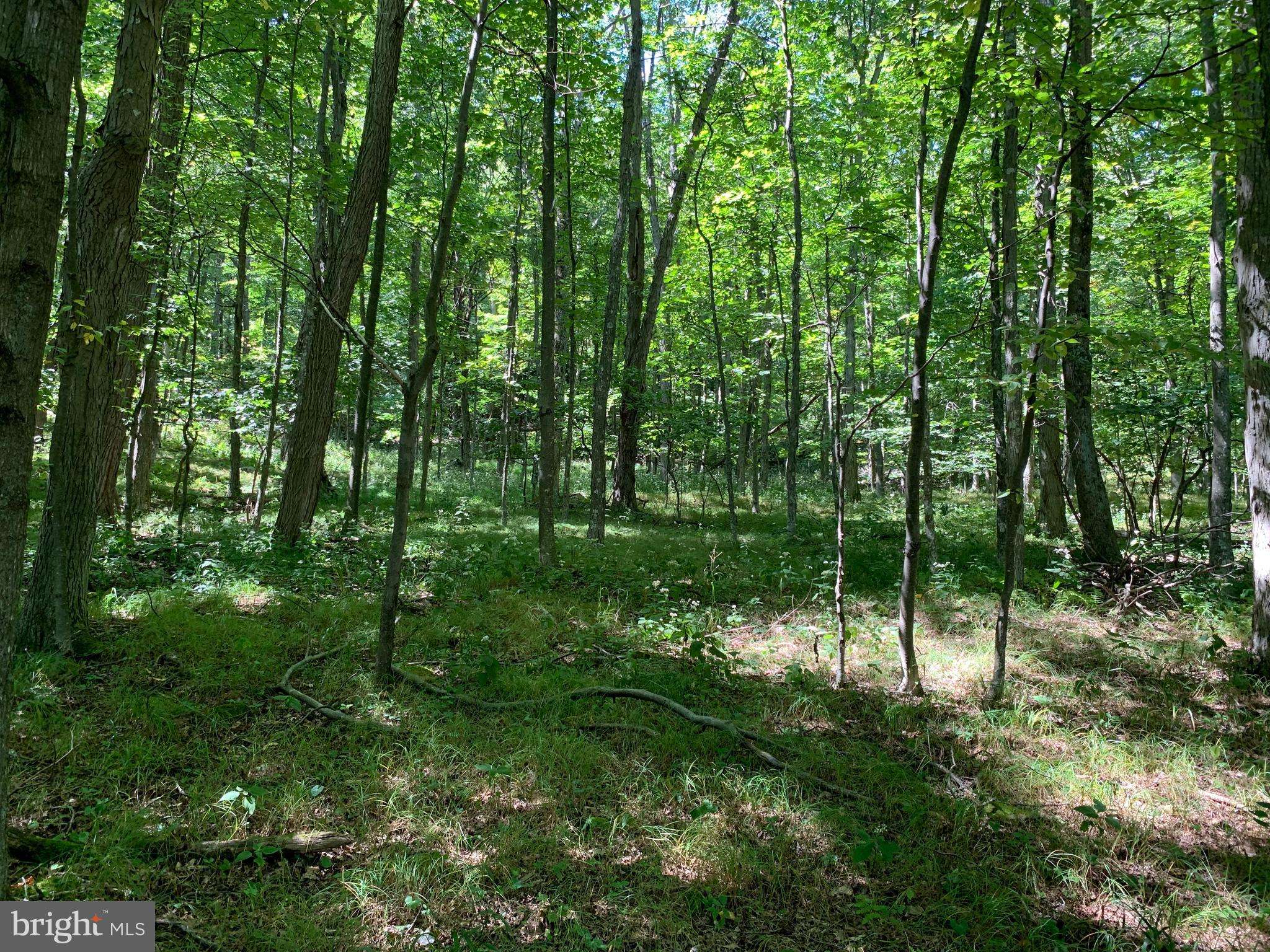 Mount Storm, WV 26739,LOT 35 DOLLY SODS RETREAT