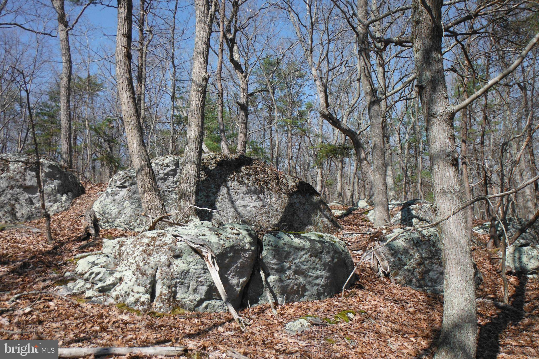 Mount Storm, WV 26739,LOT 40 DOLLY SODS RETREAT