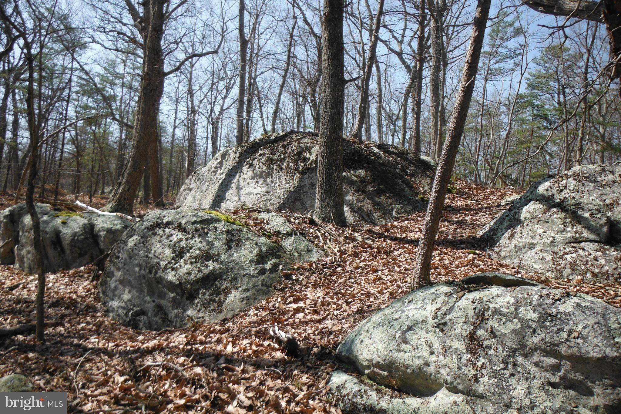 Mount Storm, WV 26739,LOT 40 DOLLY SODS RETREAT