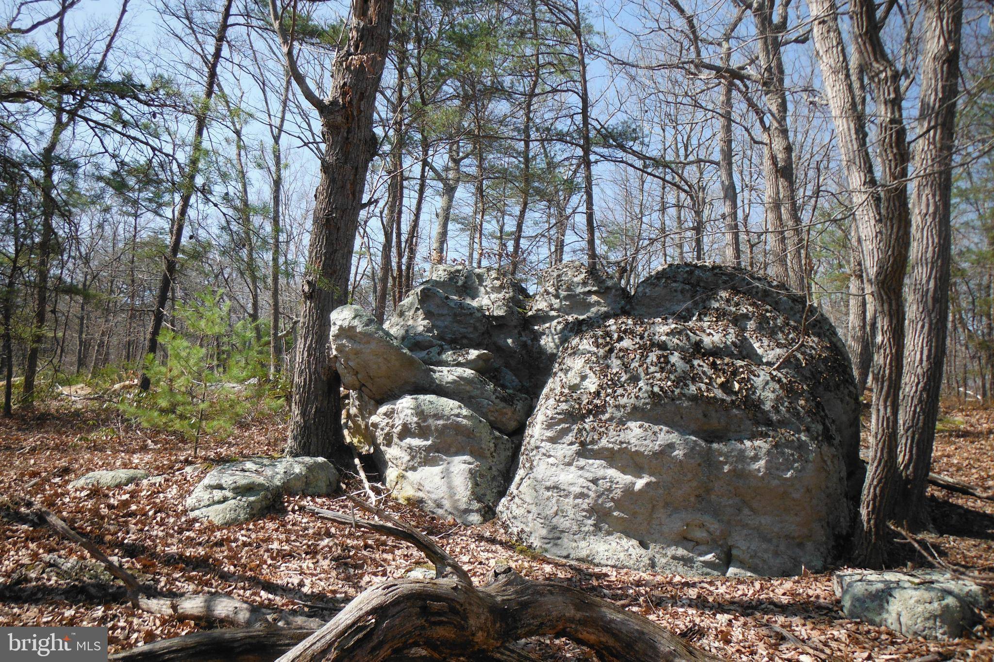 Mount Storm, WV 26739,LOT 40 DOLLY SODS RETREAT