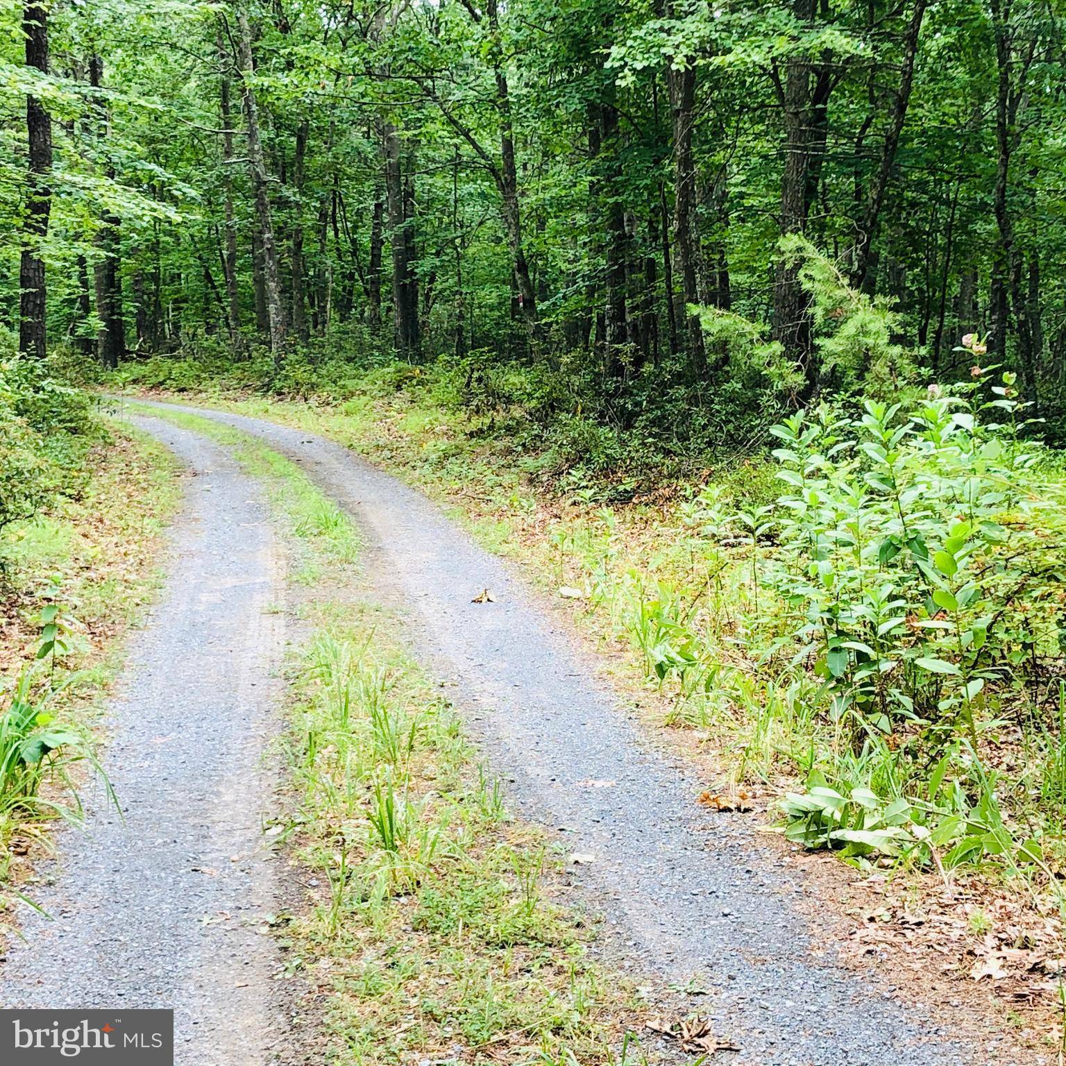 Capon Bridge, WV 26711,3 LAUREL RIDGE