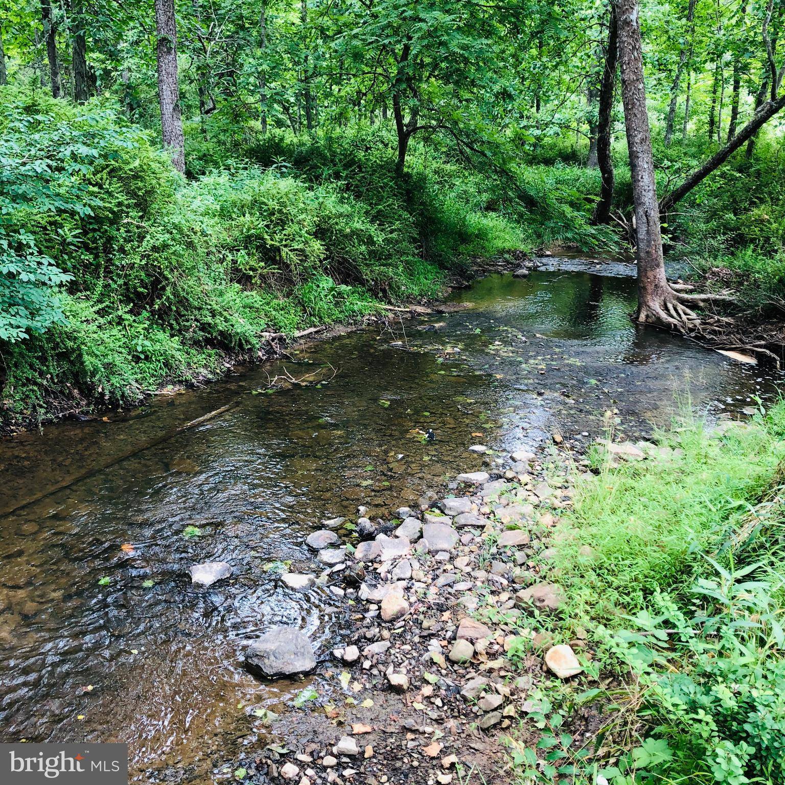 Capon Bridge, WV 26711,3 LAUREL RIDGE