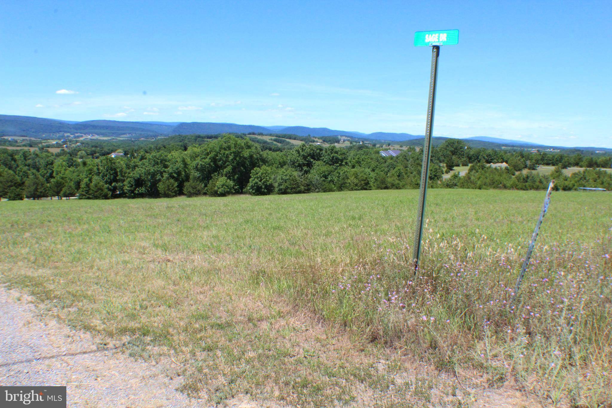 Petersburg, WV 26847,LOT 1 SAGE DR