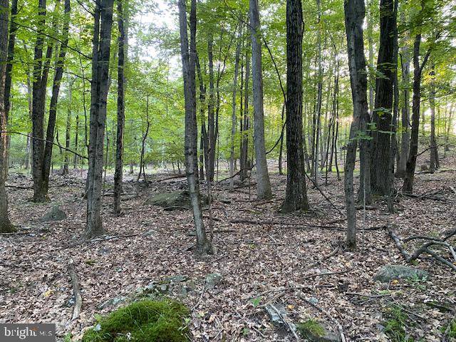 Henryville, PA 18332,LOT 34 & 35 SUNRISE LN