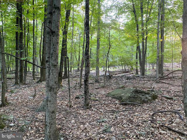 Henryville, PA 18332,LOT 34 & 35 SUNRISE LN