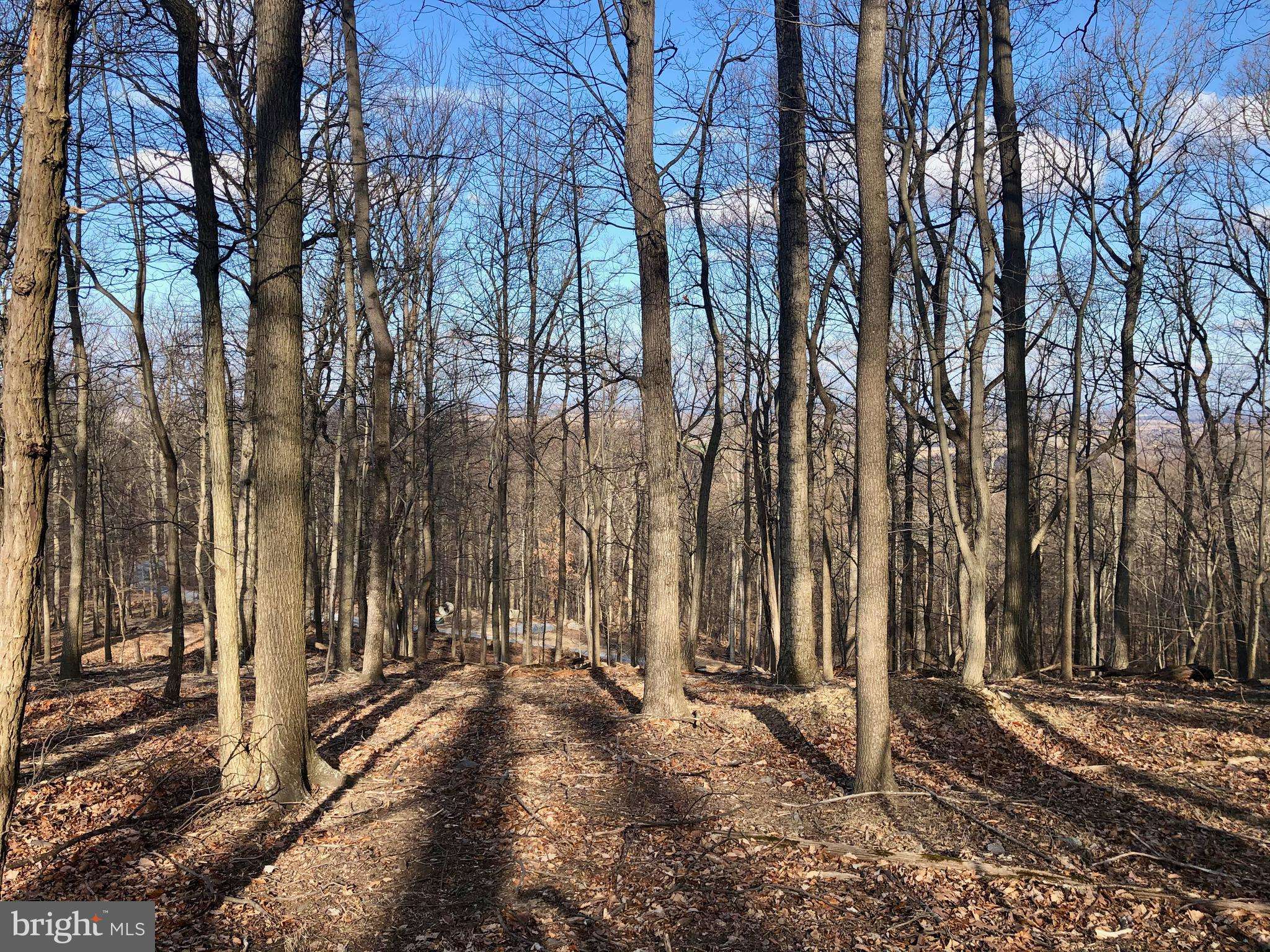 Harpers Ferry, WV 25425,ADELAIDE CIR #LOT 44