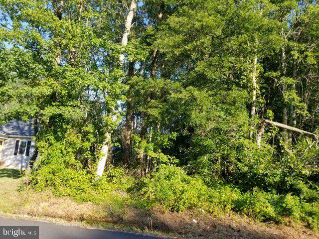 Colonial Beach, VA 22443,LOT 71 SANTA MARIA AVE