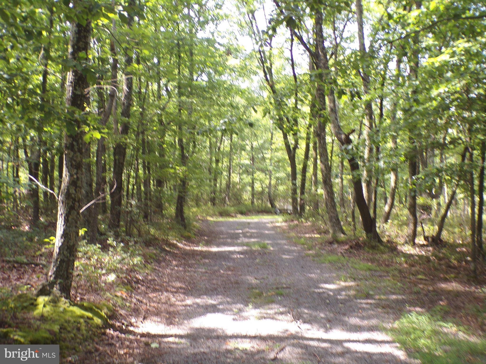 New Creek, WV 26743,LOT 31 AUTUMN LEAF