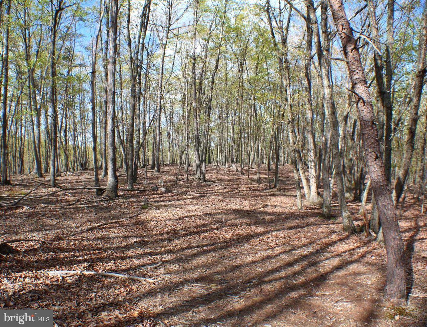 Maysville, WV 26833,LOT 2 PYLOR WAY