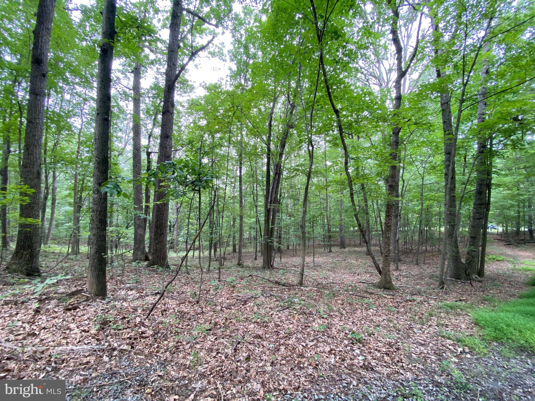 New Market, VA 22844,LOT 3 INDEPENDENCE LN