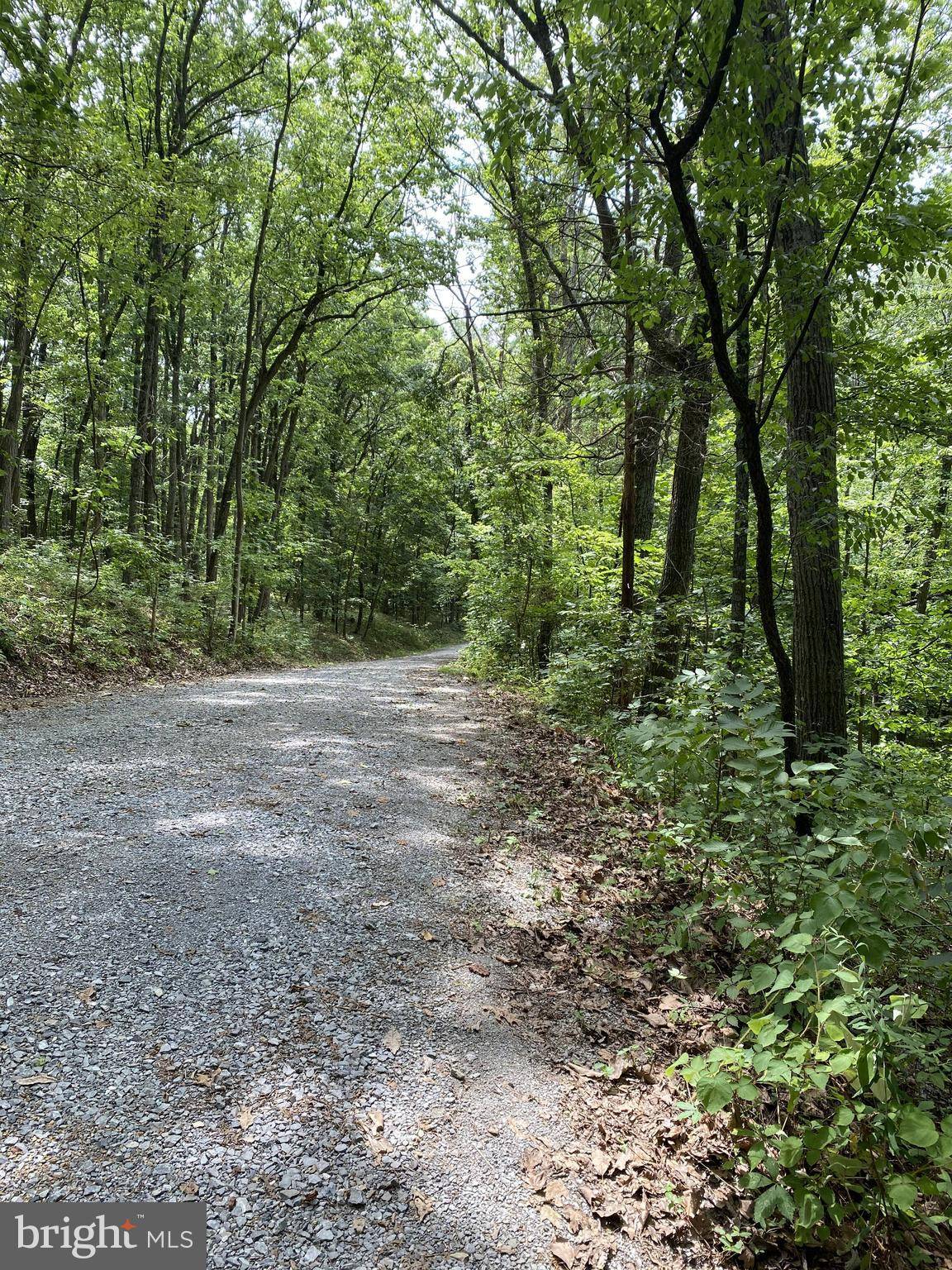 Williamsport, MD 21795,LOT #12 BIG BEND WAY