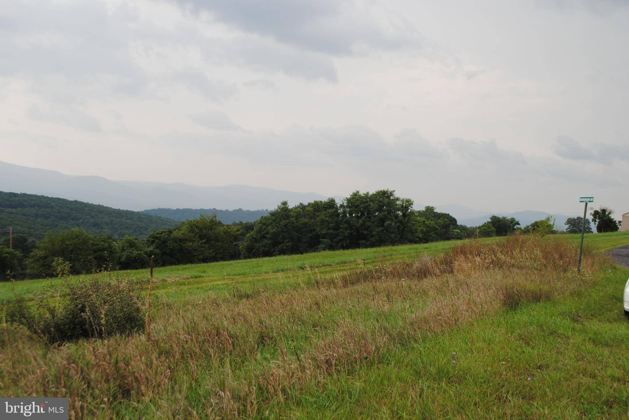 Petersburg, WV 26847,LOT 25 BRYNNER DRIVE