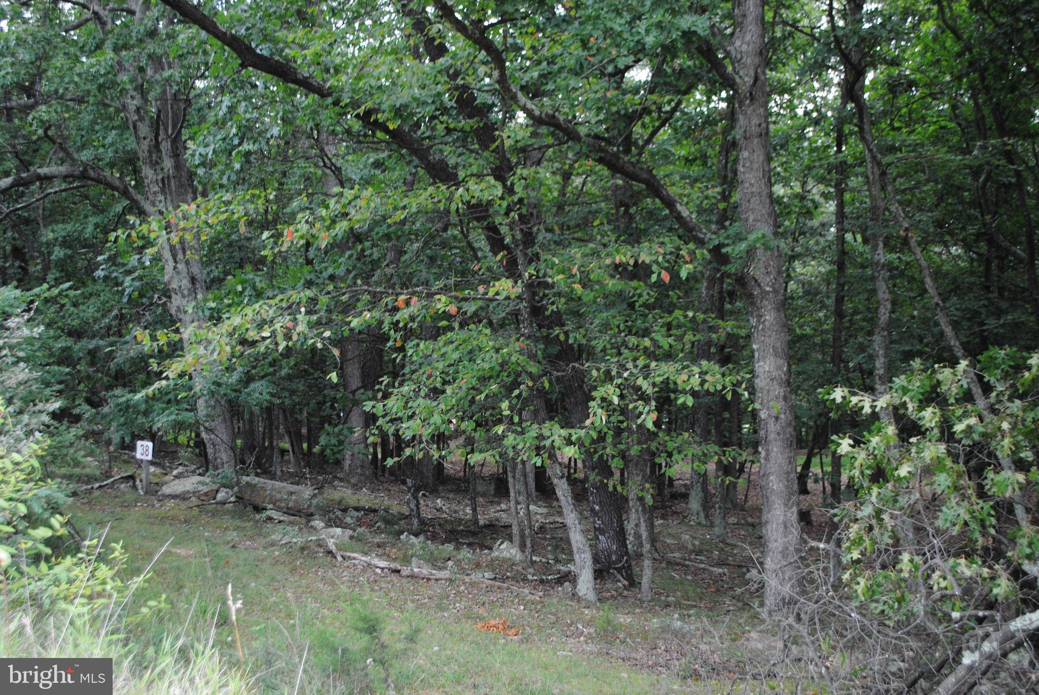 Petersburg, WV 26847,LOT 38 BERENGER DR N