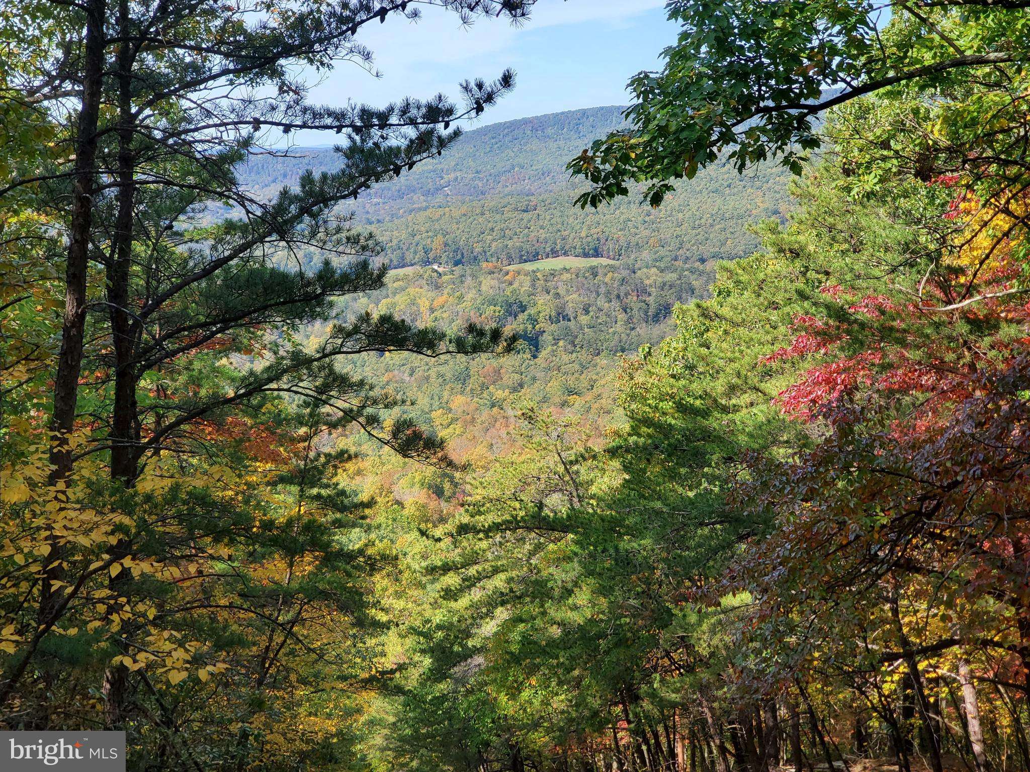 Bloomery, WV 26817,BEAR GARDEN TRL