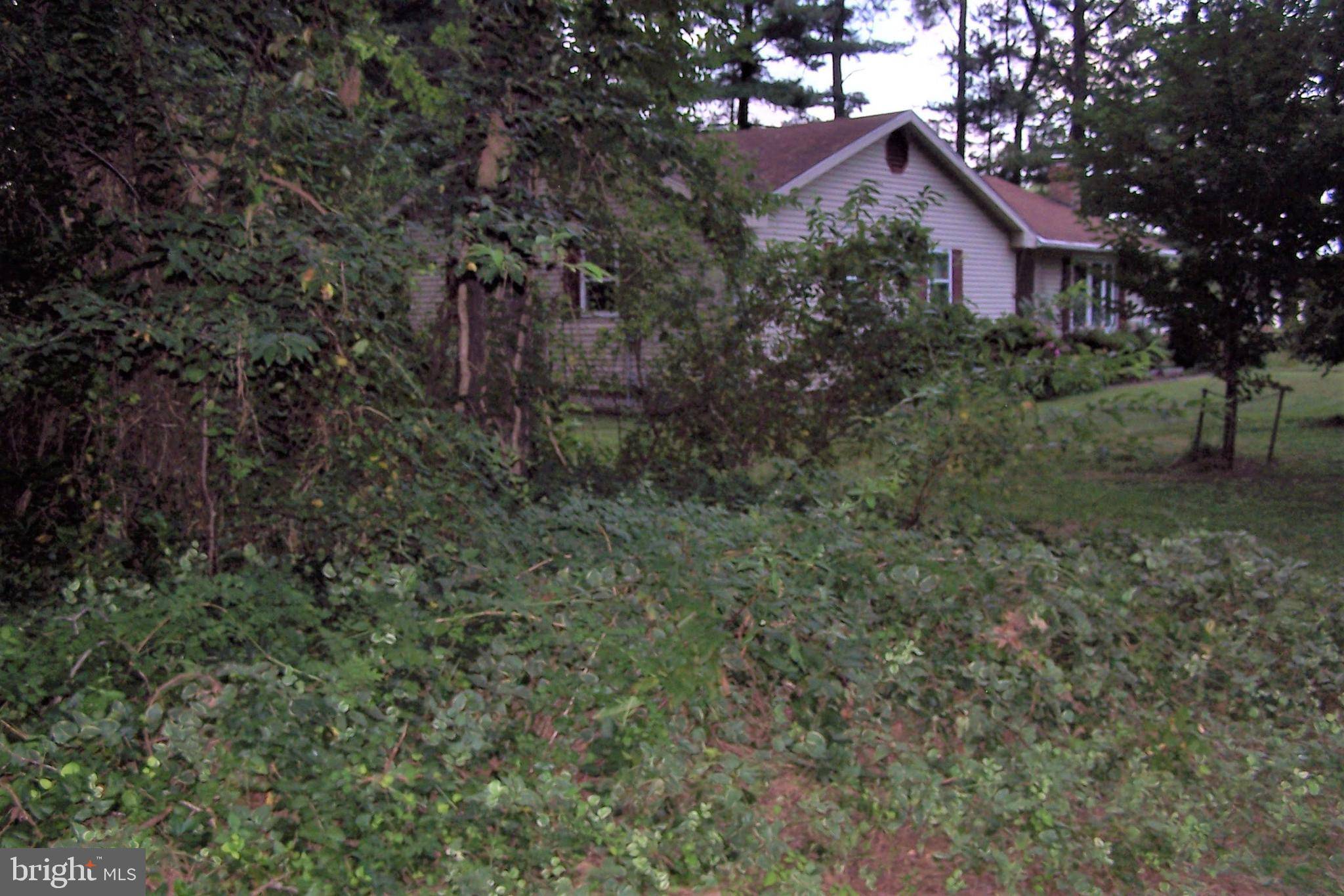 Laurel, DE 19956,LOT 53 JAMIE AVE