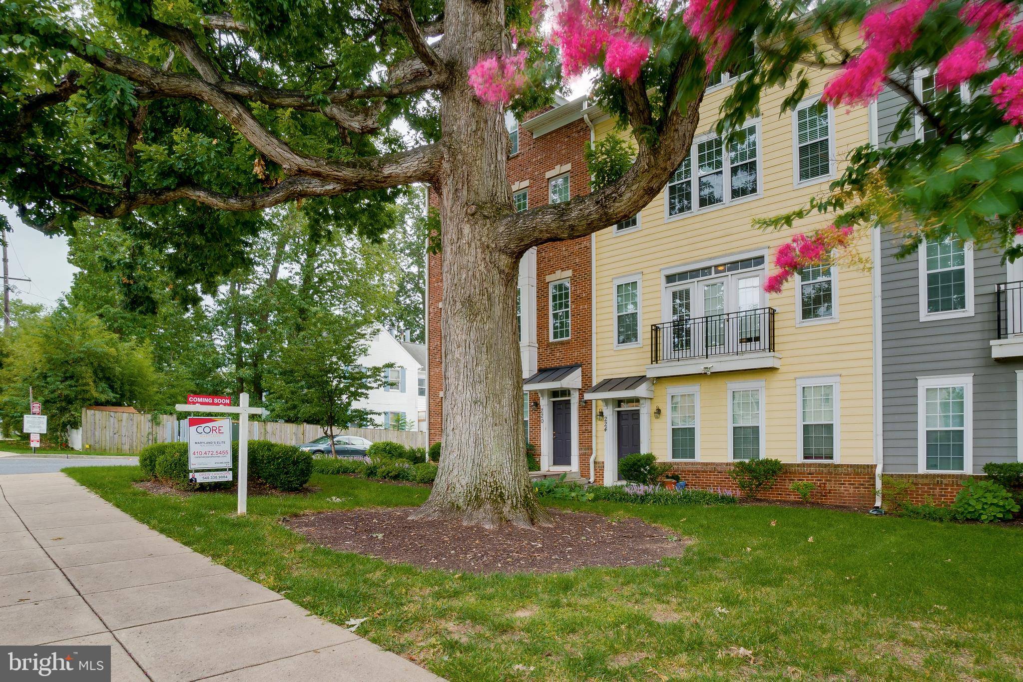 Gaithersburg, MD 20877,224 N SUMMIT AVE #28