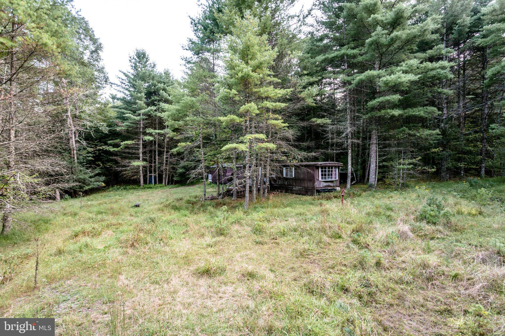 Sugar Grove, WV 26815,471 FOX TRAP LN