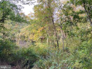 Duncannon, PA 17020,LOT #8 AMITY RD