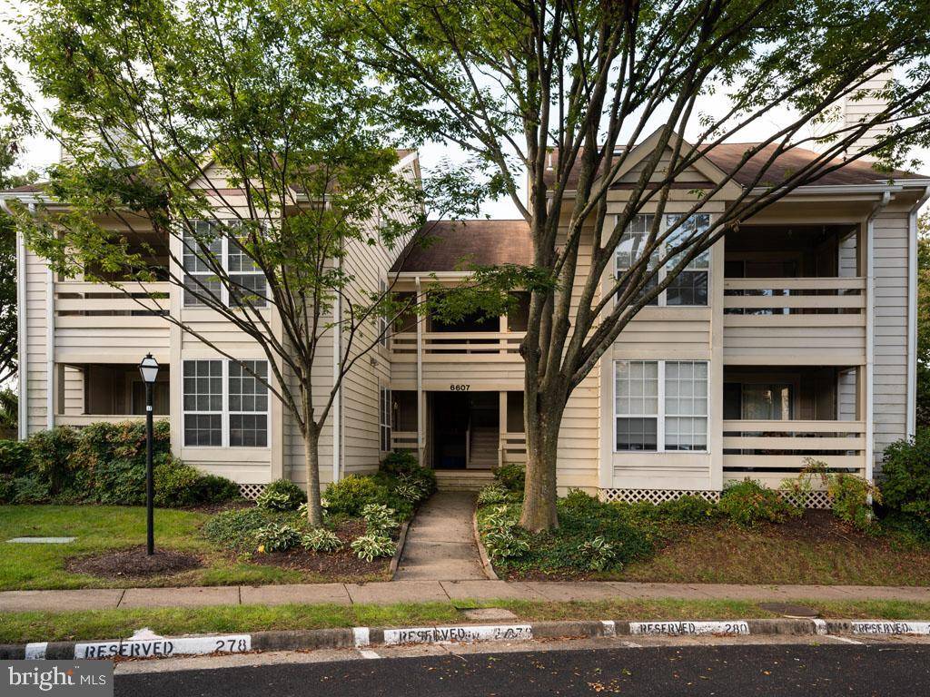 Alexandria, VA 22312,6607-F JUPITER HILLS CIR