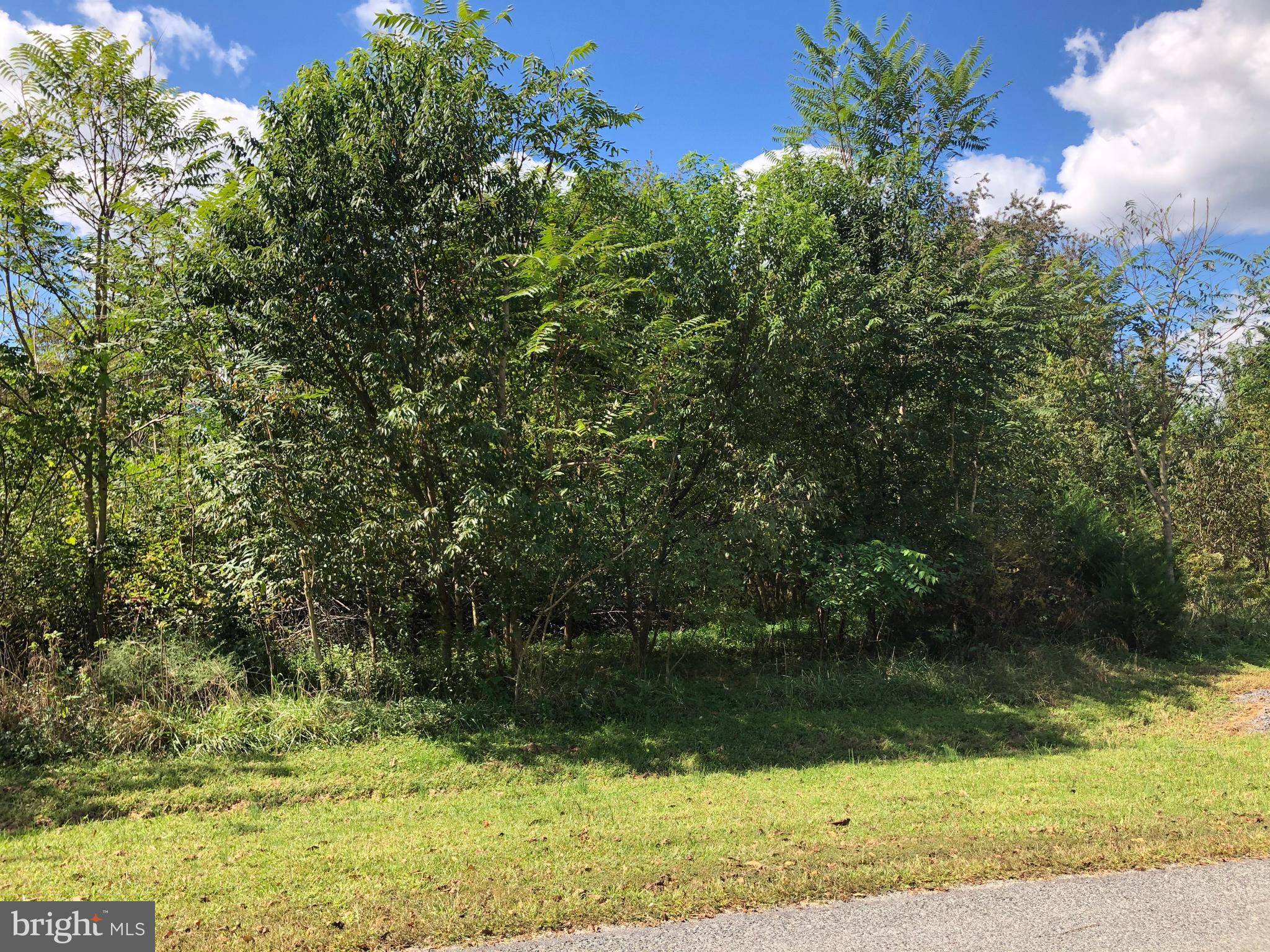 Mineral, VA 23117,LOT 411 BEAUREGARD WAY