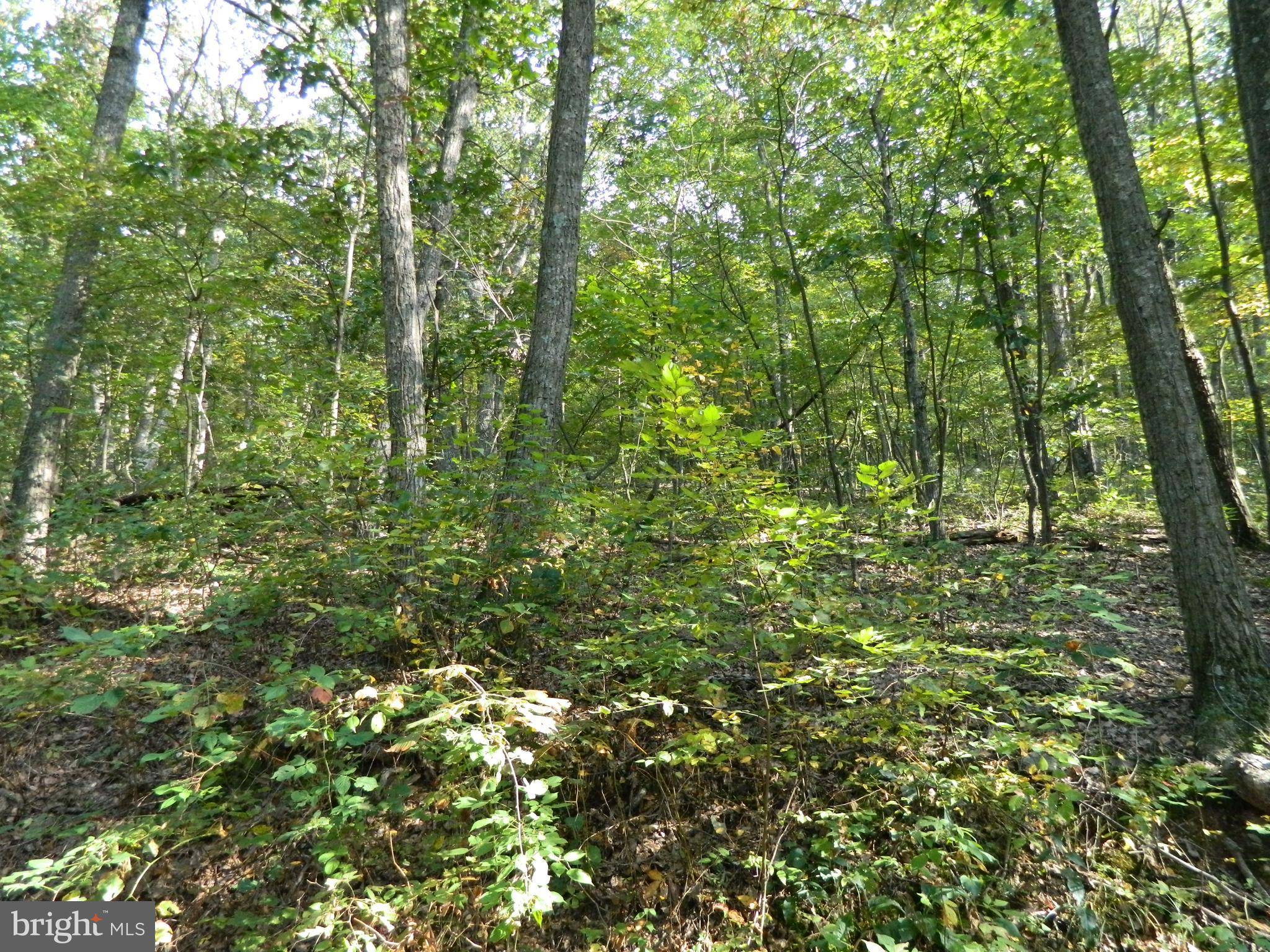 Winchester, VA 22602,LOT 77 BOBCAT TRAIL