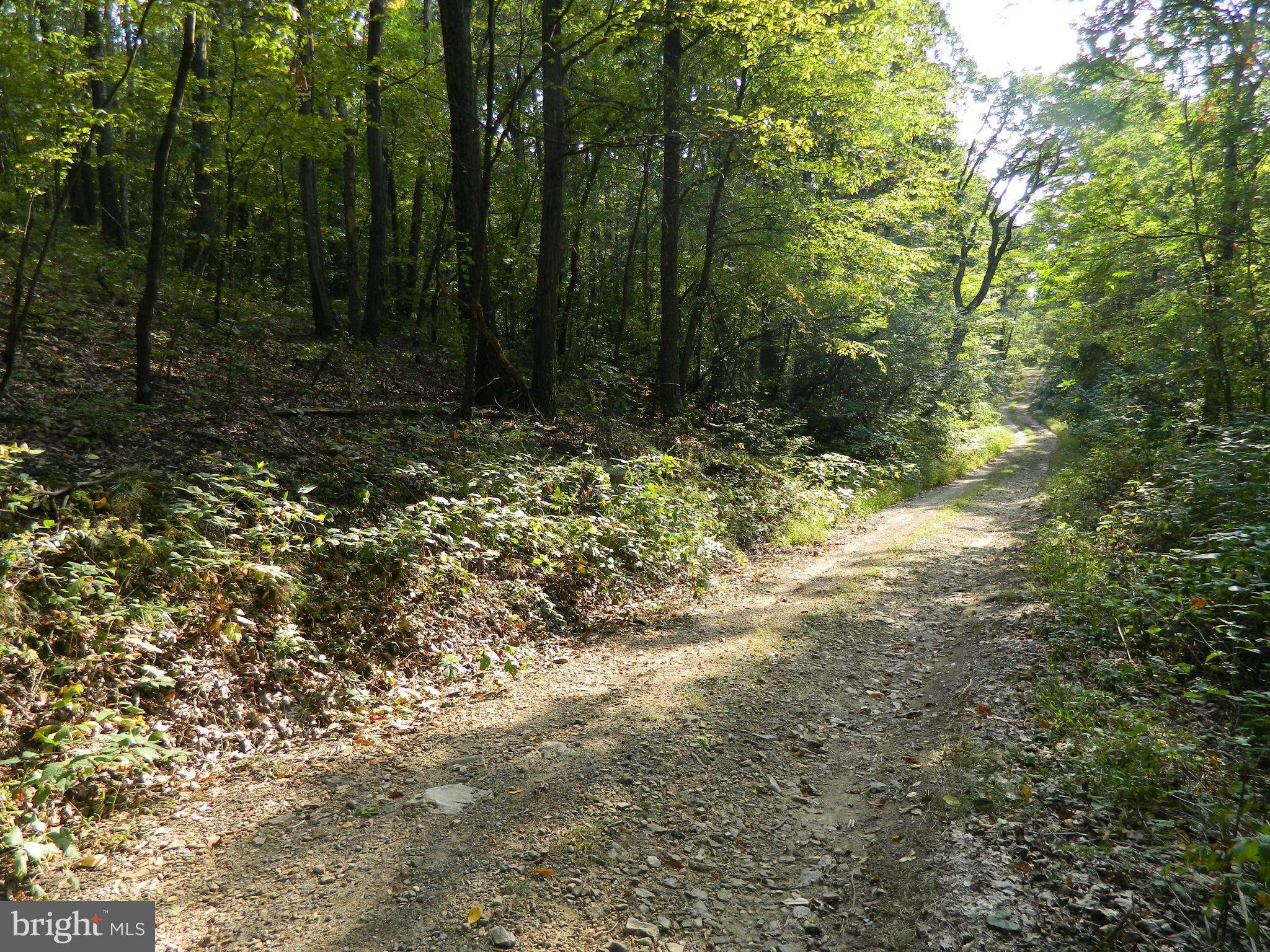 Winchester, VA 22602,LOT 77 BOBCAT TRAIL