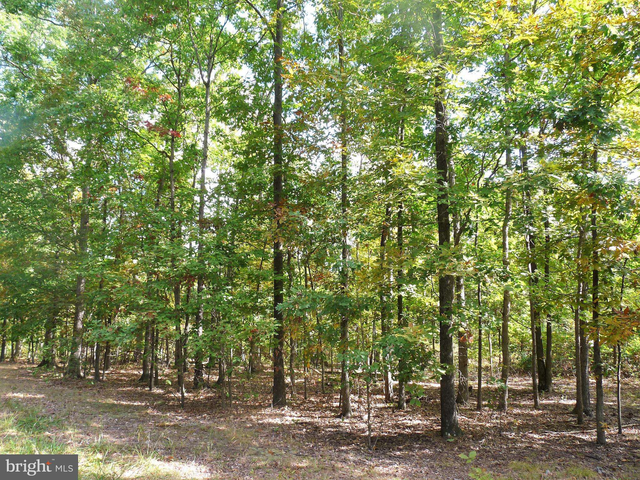 Berkeley Springs, WV 25411,LOT 5 WHISTLING WINDS TRAIL