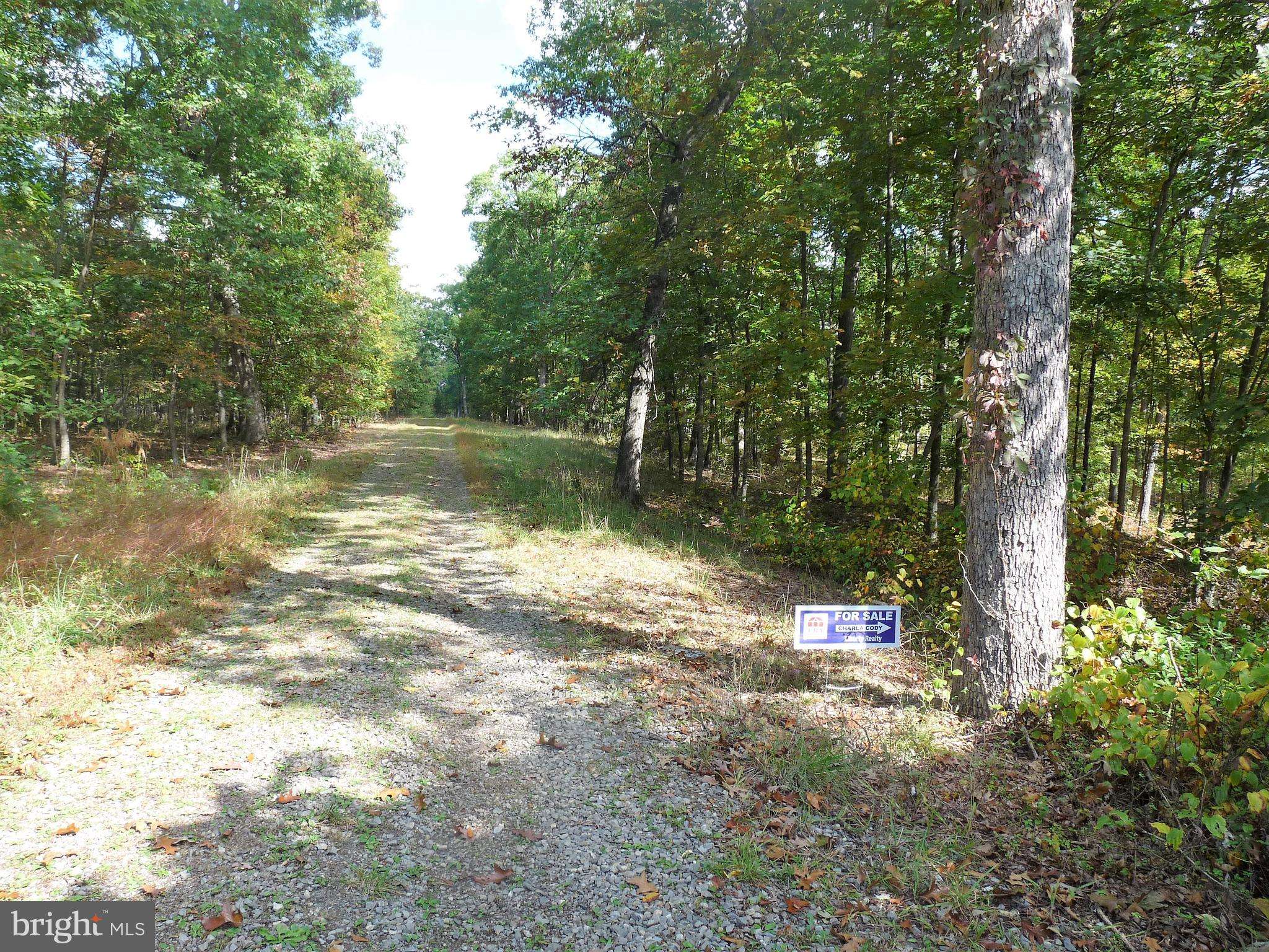 Berkeley Springs, WV 25411,LOT 5 WHISTLING WINDS TRAIL