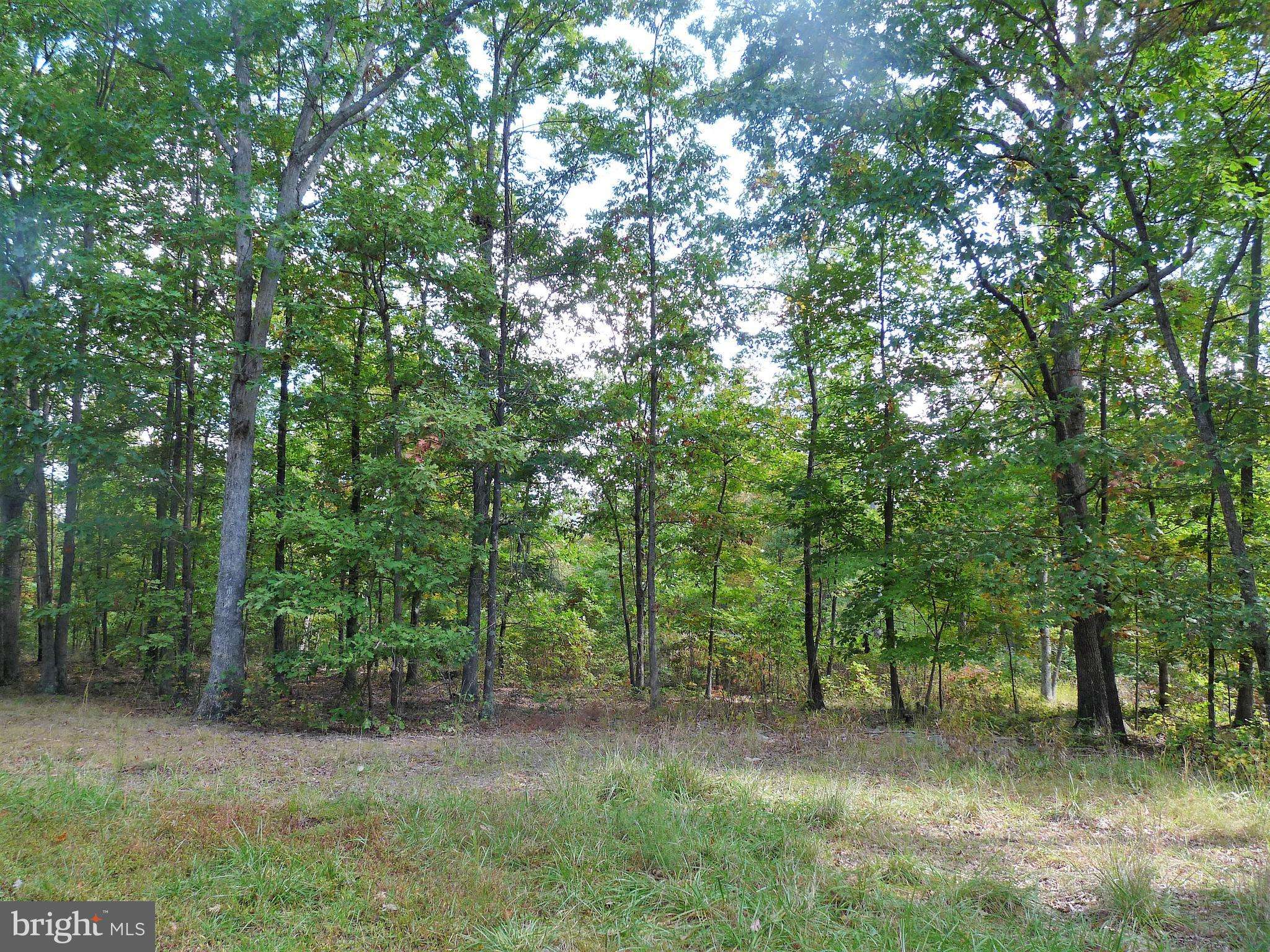 Berkeley Springs, WV 25411,LOT 5 WHISTLING WINDS TRAIL