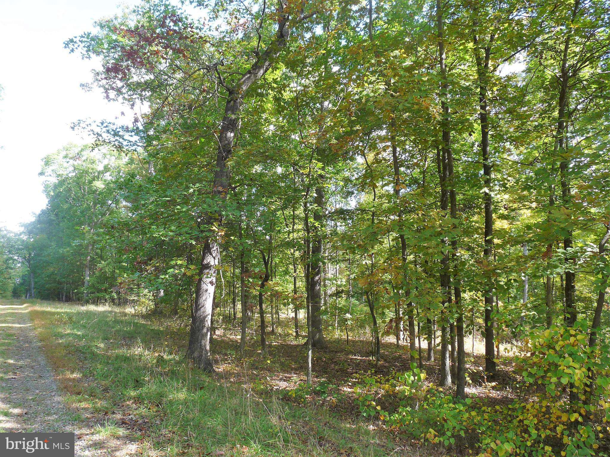 Berkeley Springs, WV 25411,LOT 5 WHISTLING WINDS TRAIL