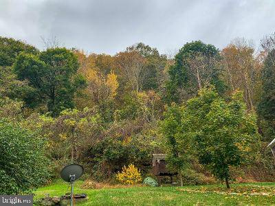 Felton, PA 17322,VACANT LOT HOLLOW RD