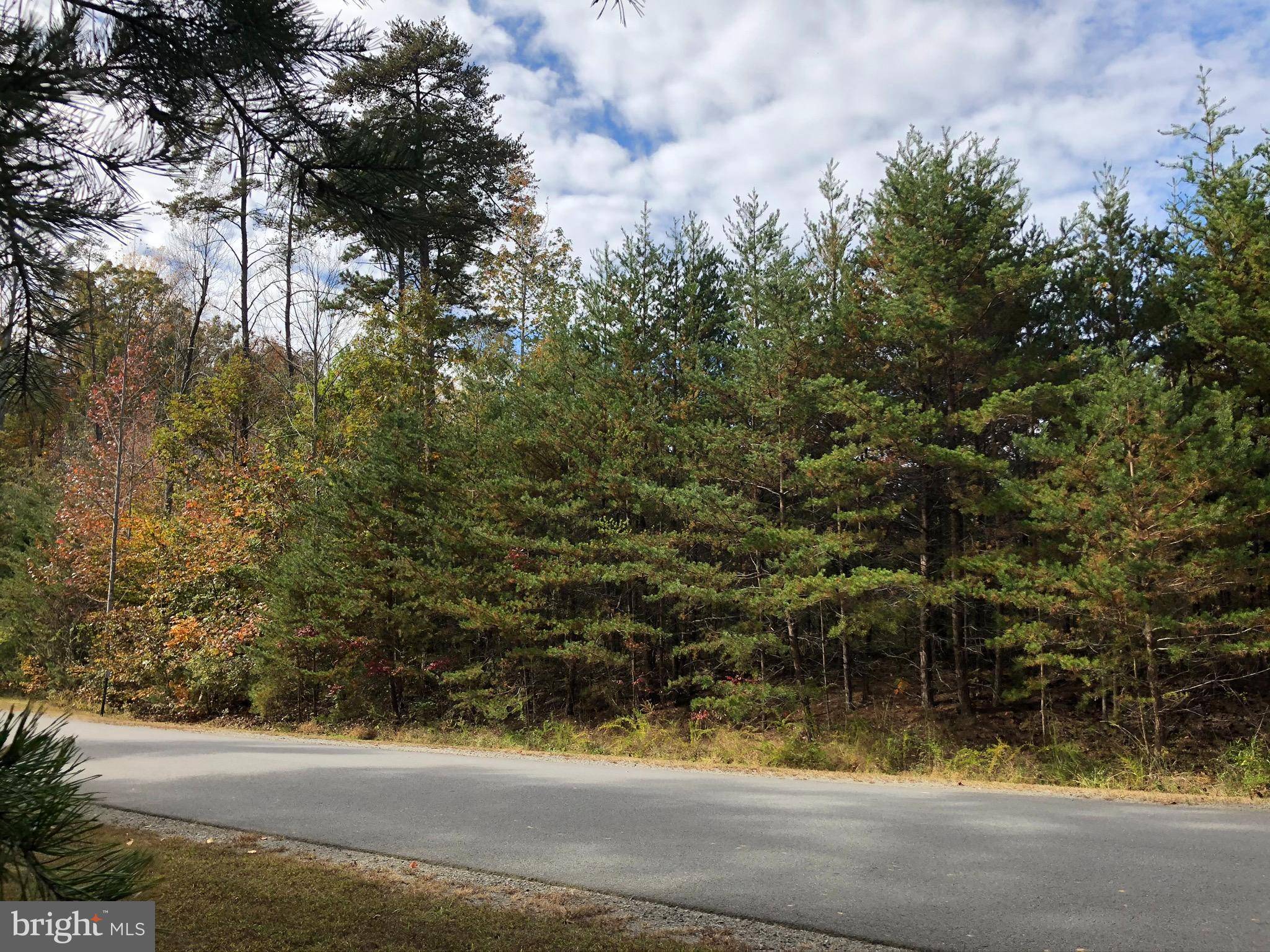 Bumpass, VA 23024,LOT 29 OUTER BANKS LN