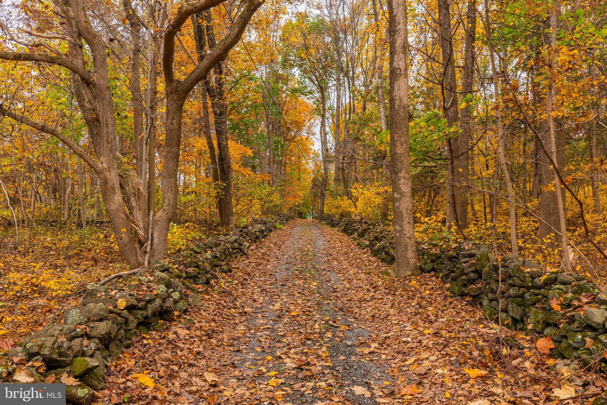 Upper Black Eddy, PA 18972,73 ROCK RIDGE RD