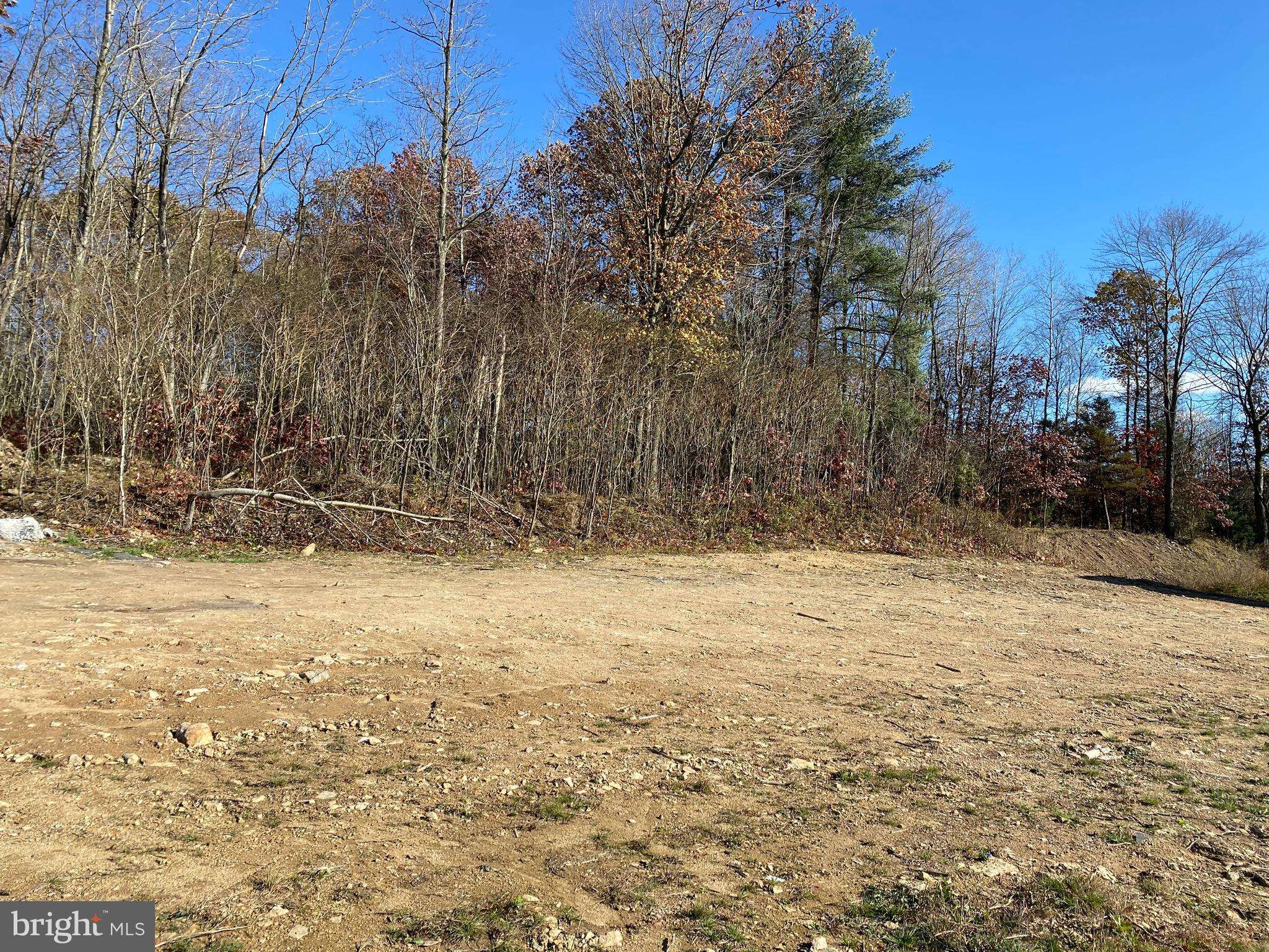 Saint Clair, PA 17970,LOT 12 ELMWOOD CT