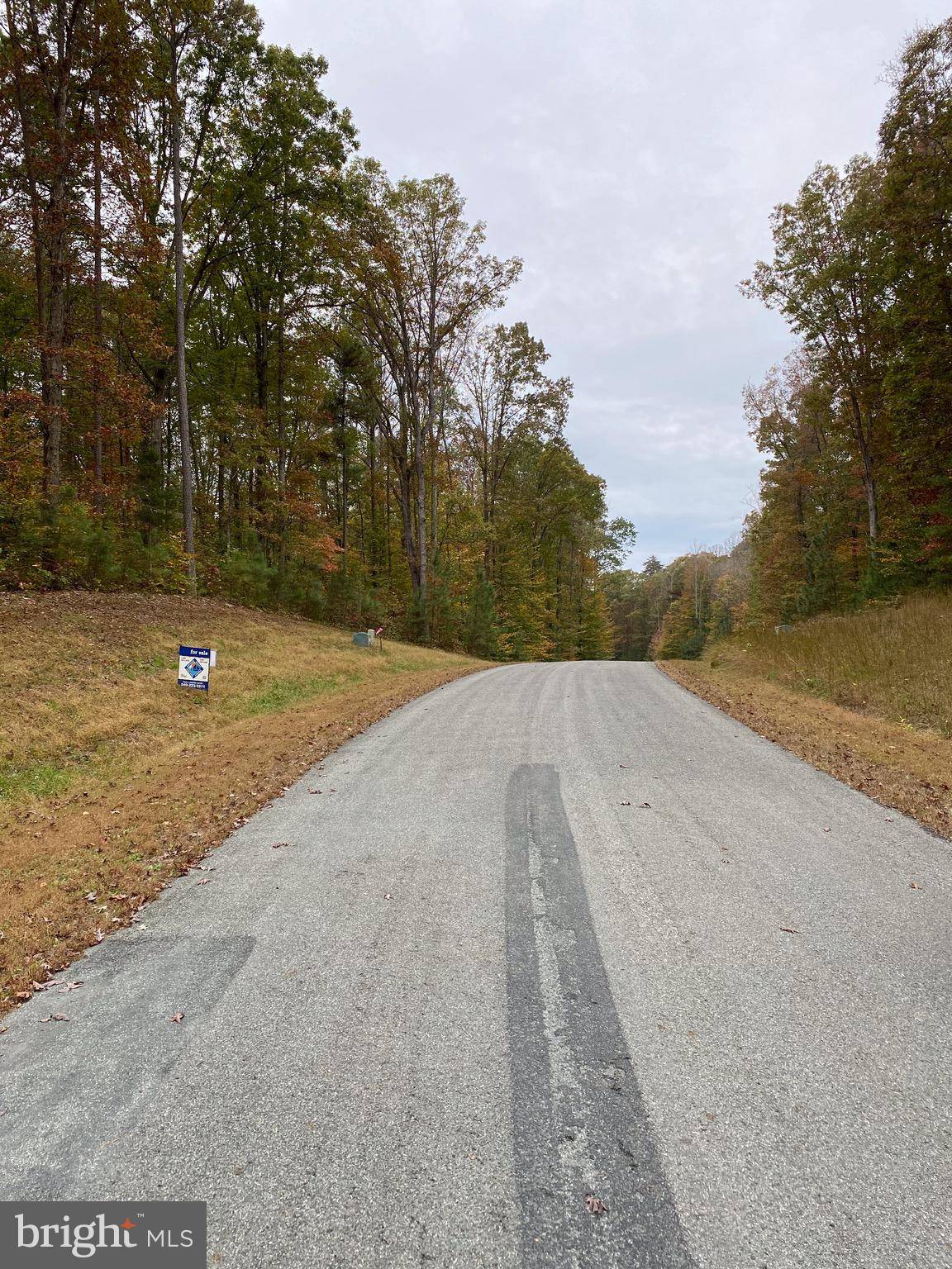 Beaverdam, VA 23015,LOT 14 FOX RUN FOREST LN