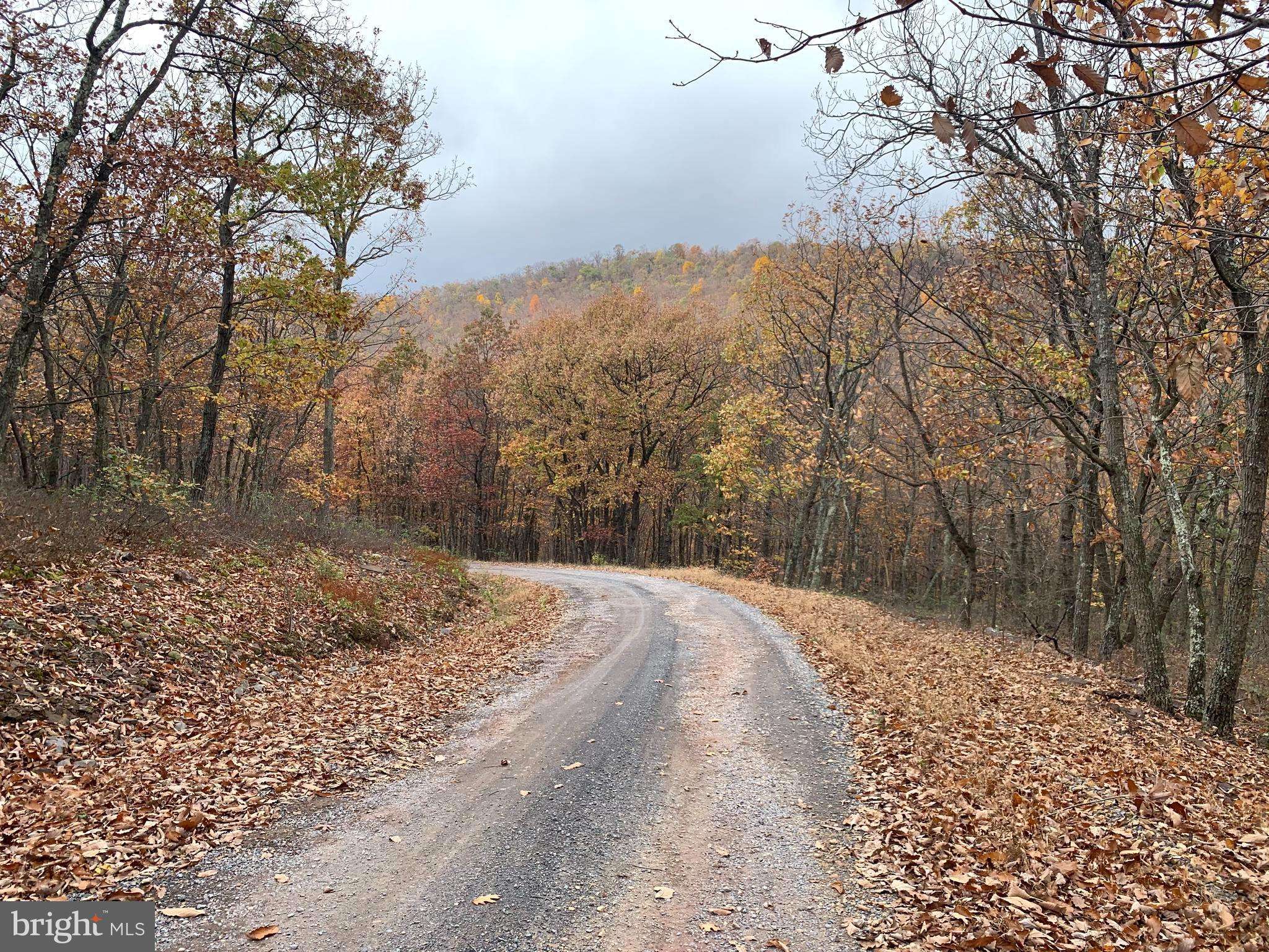 New Creek, WV 26743,AUTUMN LEAF