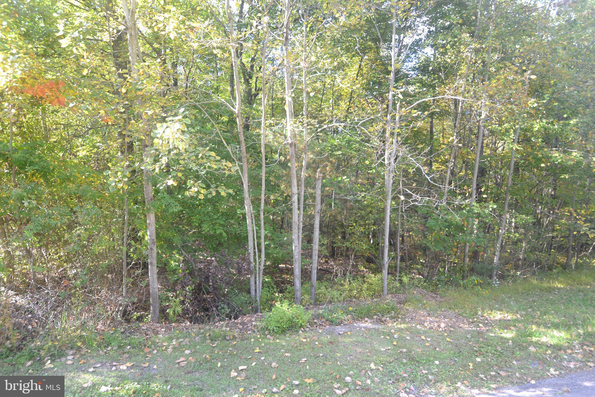 Kunkletown, PA 18058,LOT 49 HIGH POINT #49