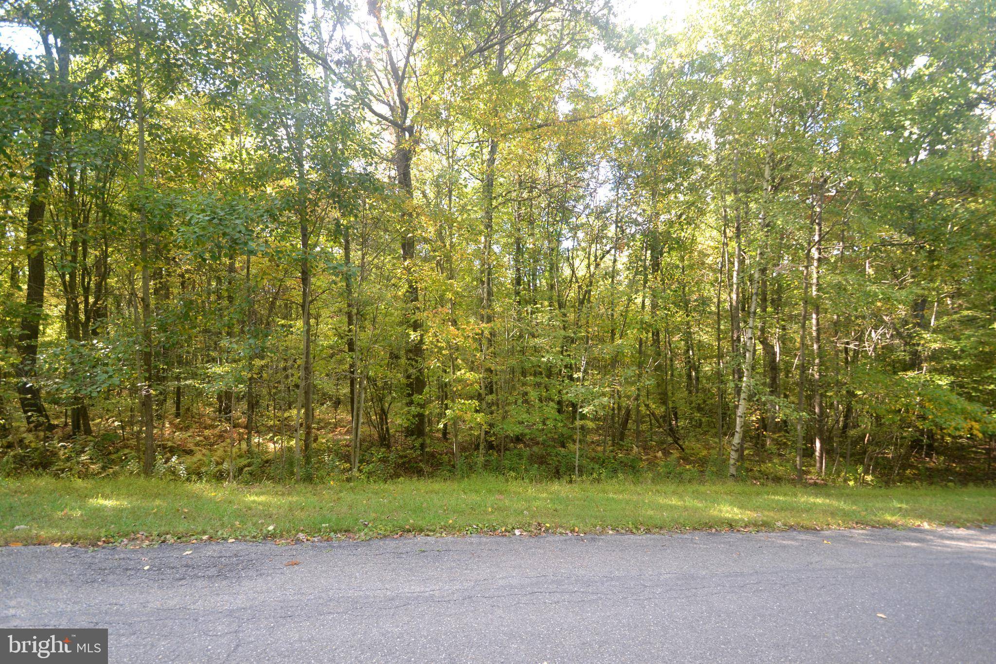 Kunkletown, PA 18058,LOT 49 HIGH POINT #49