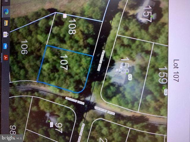 Gordonsville, VA 22942,PINEHURST DR #LOT 107